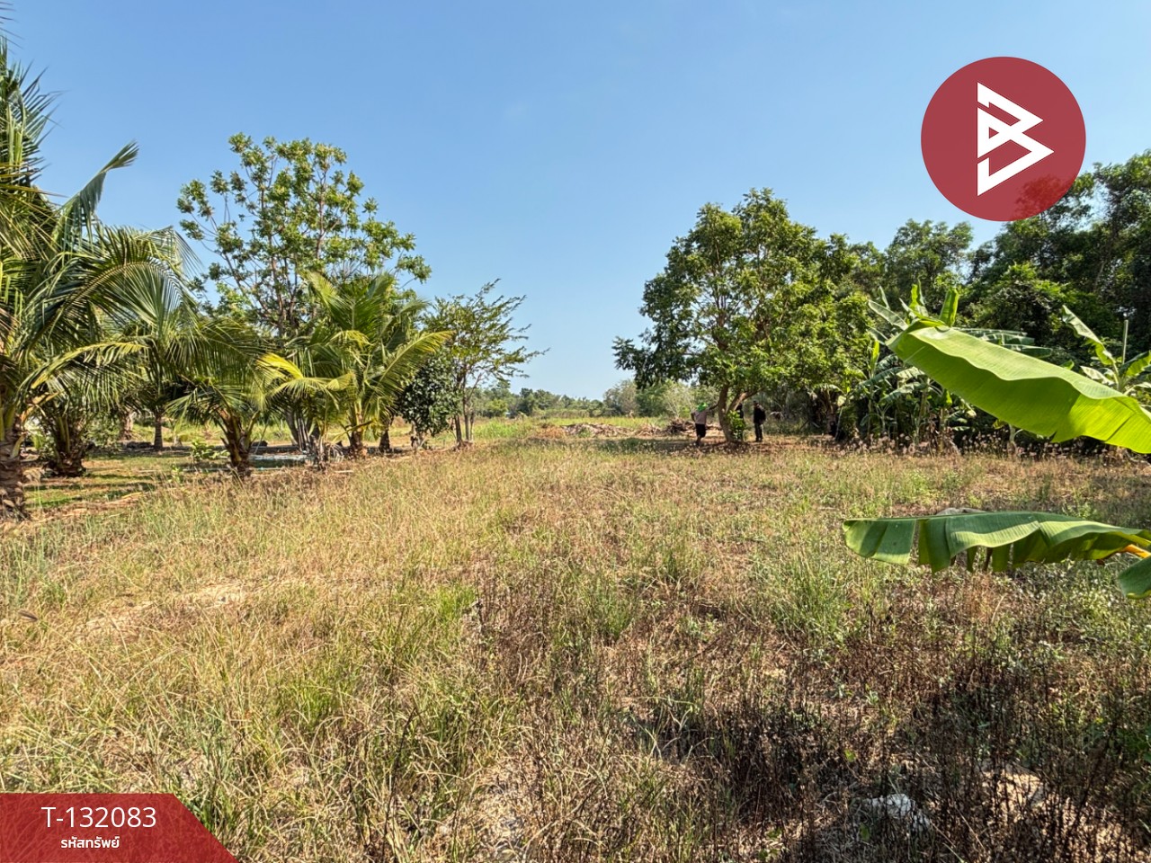 ขายที่ดิน เนื้อที่ 1 งาน 2.6 ตร.วา ตะพง ระยอง 13