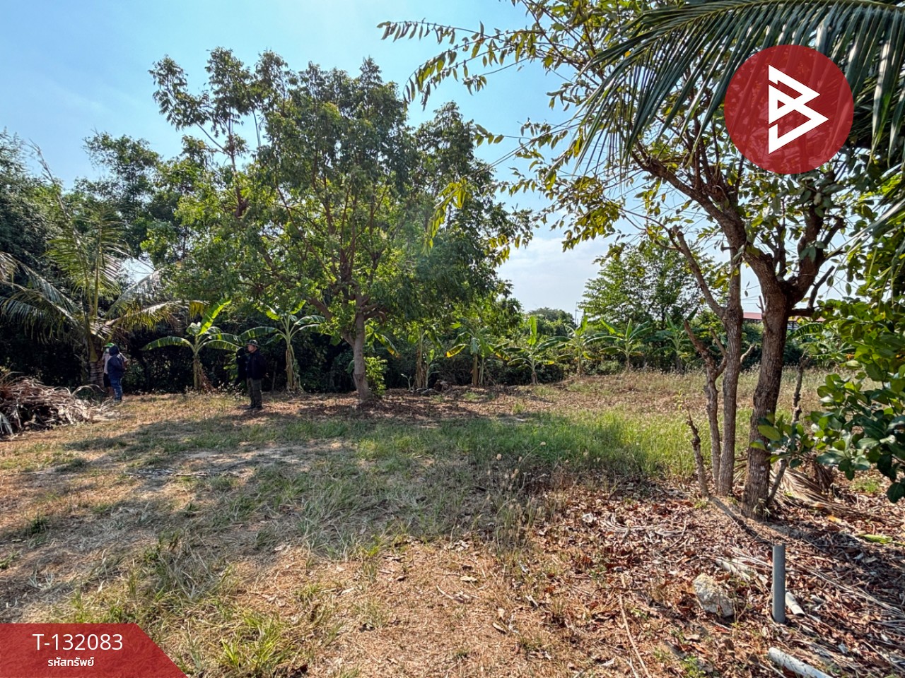 ขายที่ดิน เนื้อที่ 1 งาน 2.6 ตร.วา ตะพง ระยอง 6