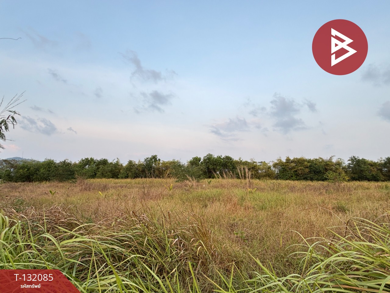 ขายที่ดิน เนื้อที่ 1 ไร่ 4 ตารางวา ต.เพ ระยอง 1