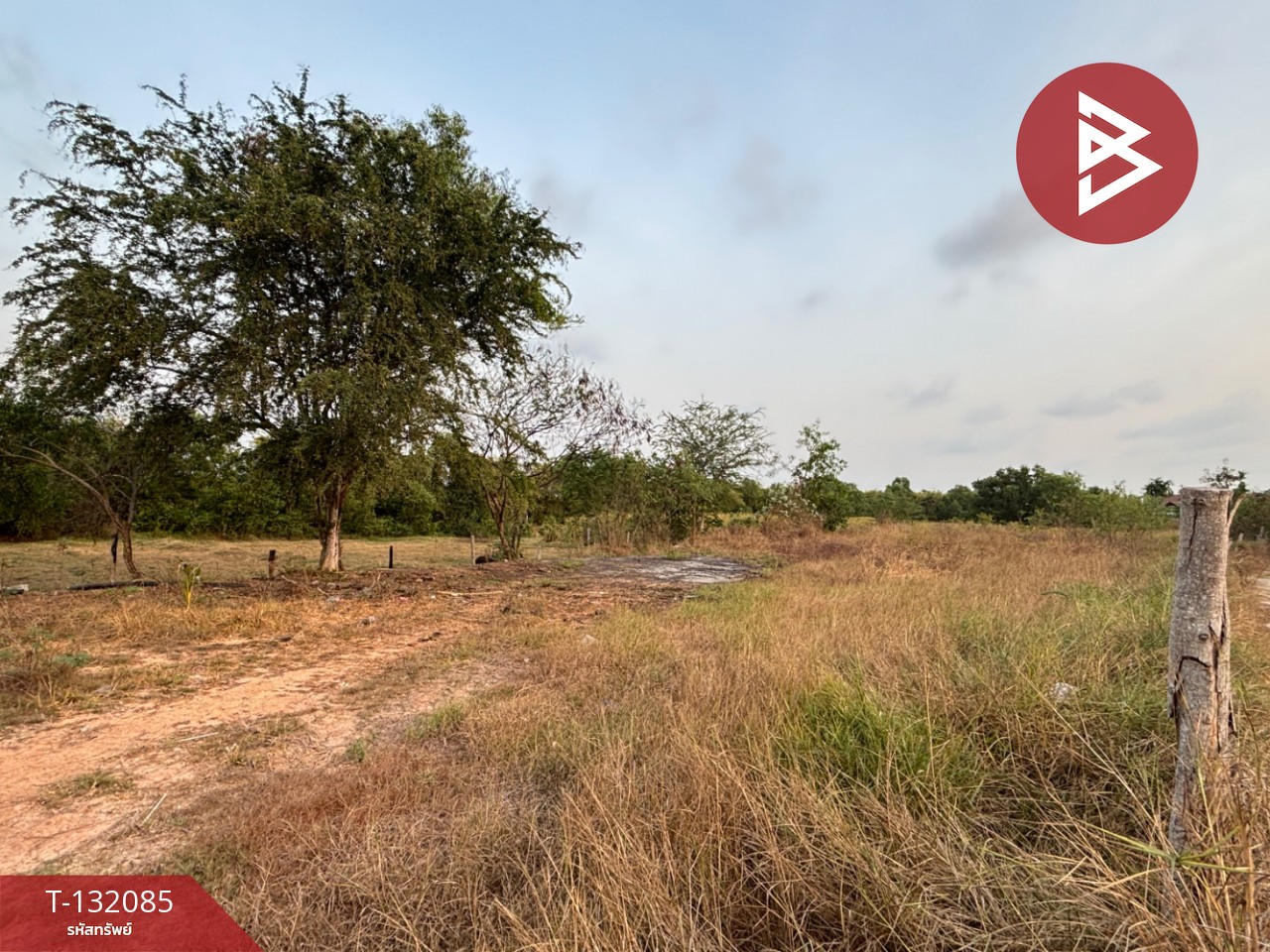 ขายที่ดิน เนื้อที่ 1 ไร่ 4 ตารางวา ต.เพ ระยอง 2