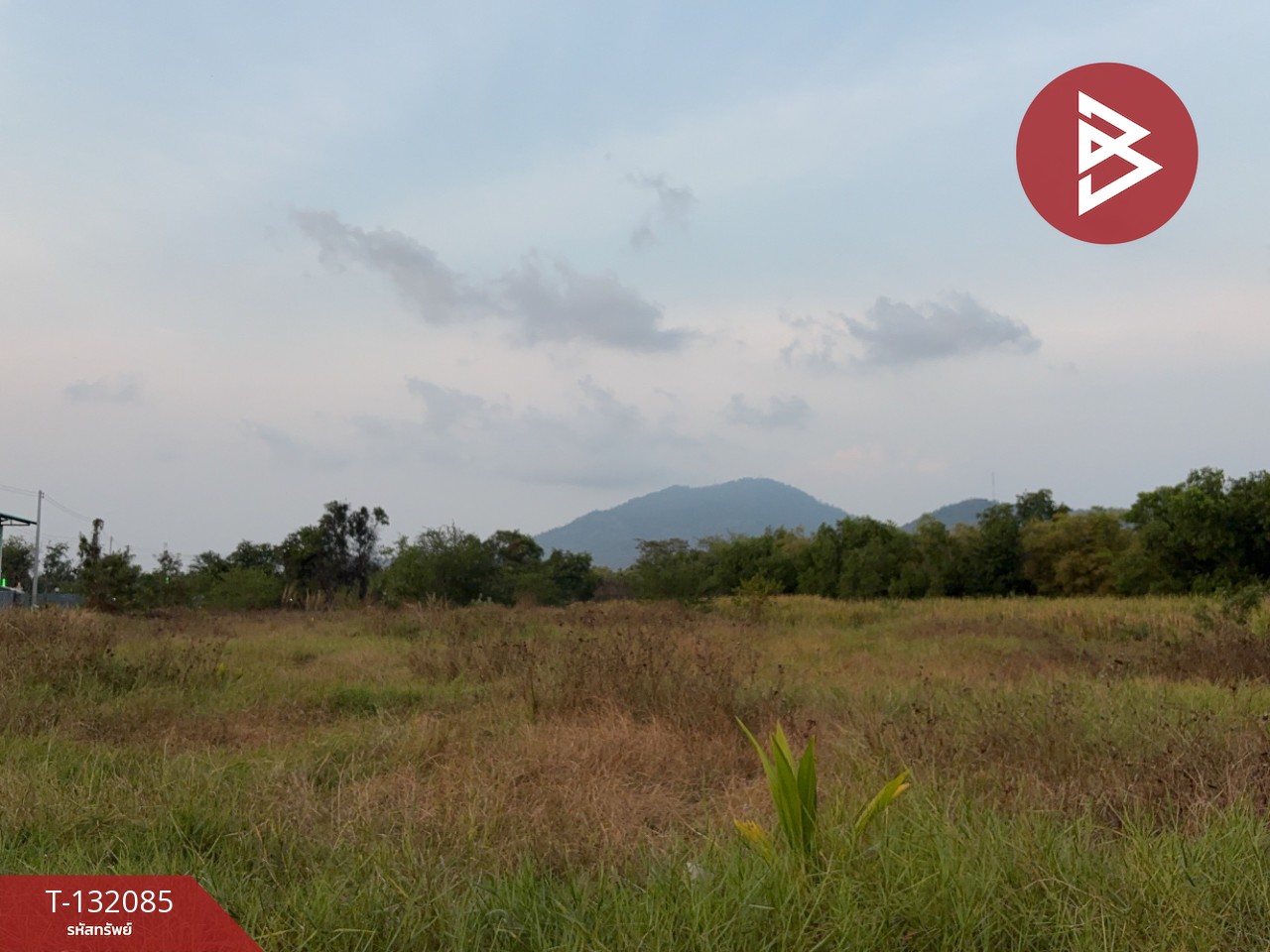 ขายที่ดิน เนื้อที่ 1 ไร่ 4 ตารางวา ต.เพ ระยอง 3