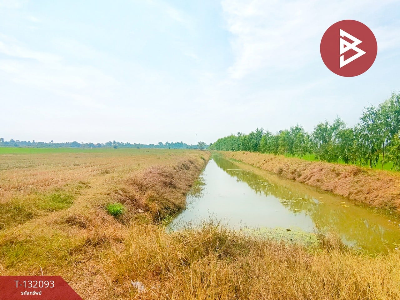 ขายที่ดินสวย เนื้อที่ 14 ไร่ 84 ตารางวา สามโก้ อ่างทอง 8