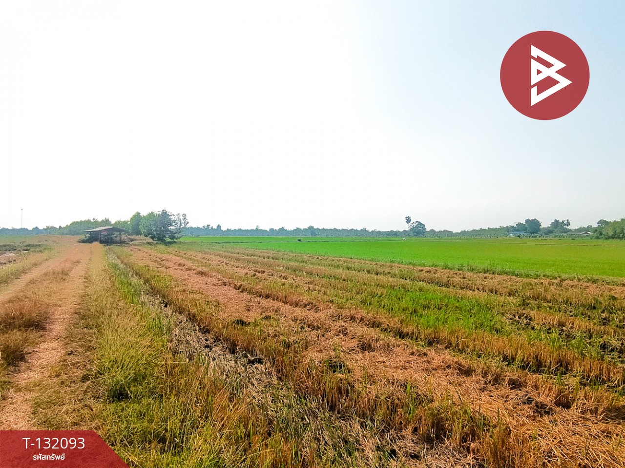 ขายที่ดินสวย เนื้อที่ 14 ไร่ 84 ตารางวา สามโก้ อ่างทอง 3