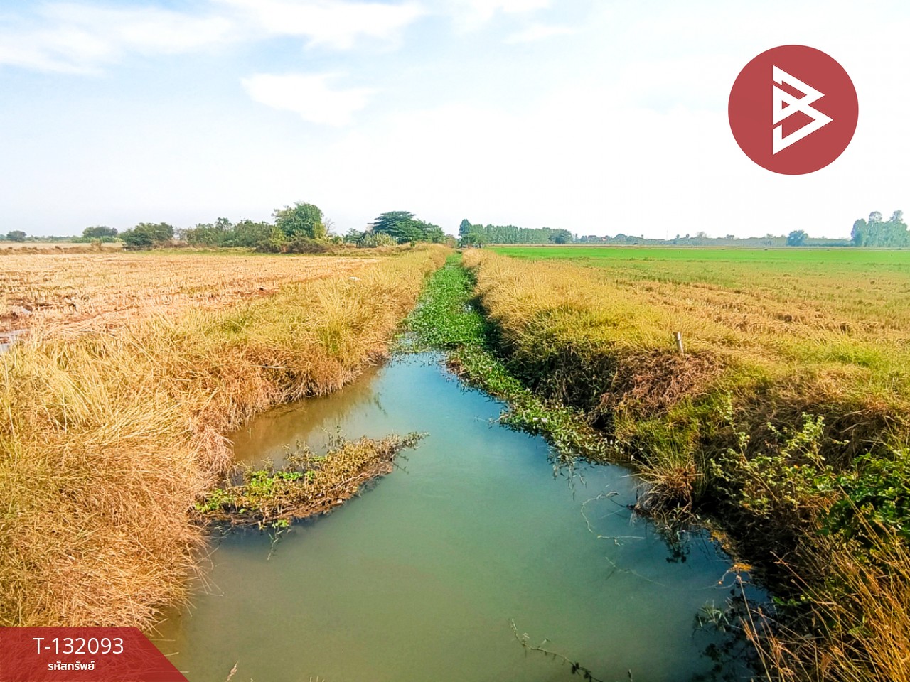 ขายที่ดินสวย เนื้อที่ 14 ไร่ 84 ตารางวา สามโก้ อ่างทอง 5