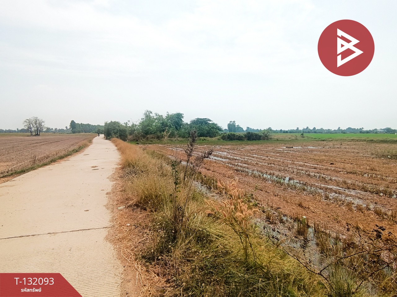 ขายที่ดินสวย เนื้อที่ 14 ไร่ 84 ตารางวา สามโก้ อ่างทอง 12