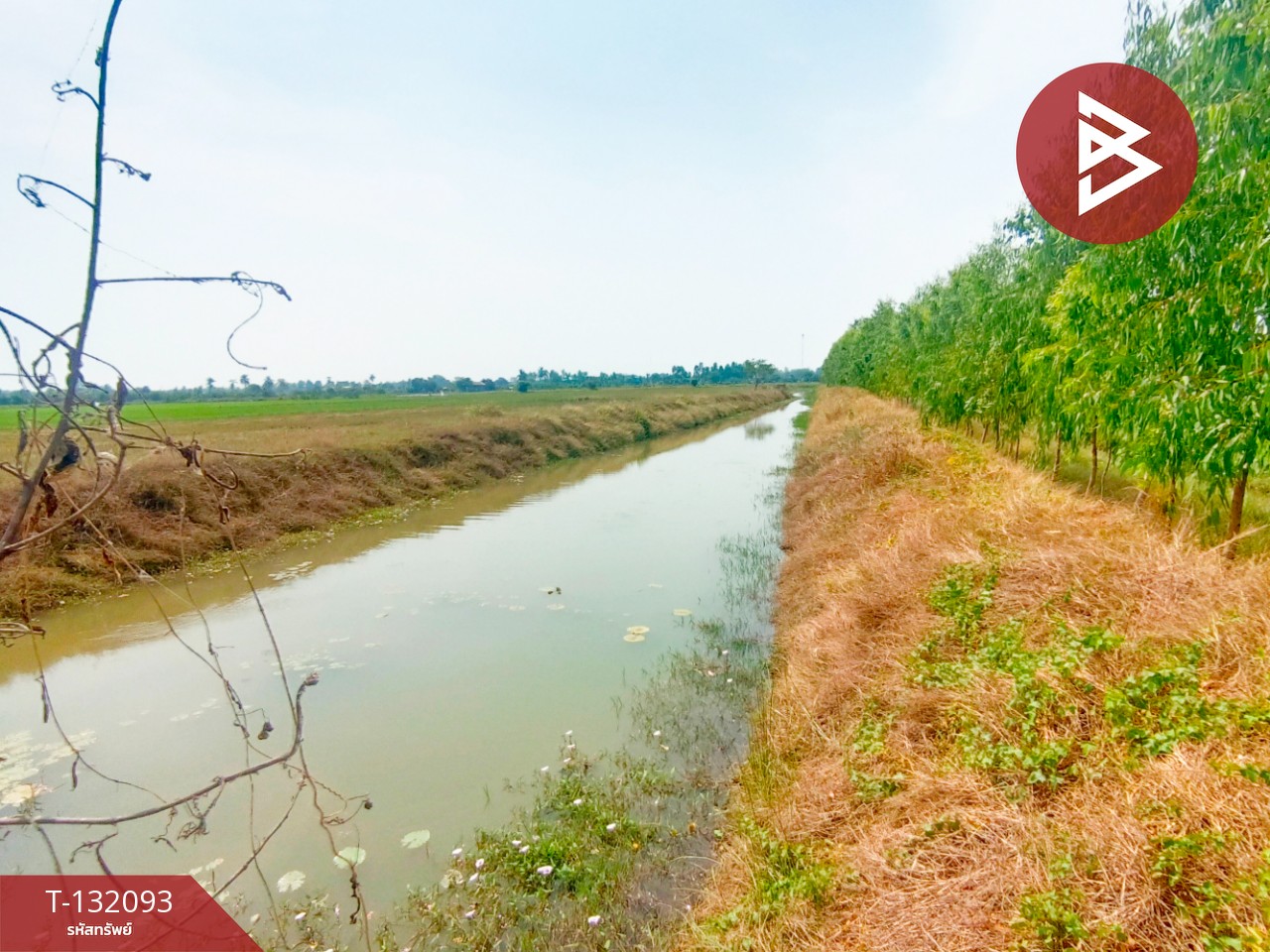 ขายที่ดินสวย เนื้อที่ 14 ไร่ 84 ตารางวา สามโก้ อ่างทอง 11