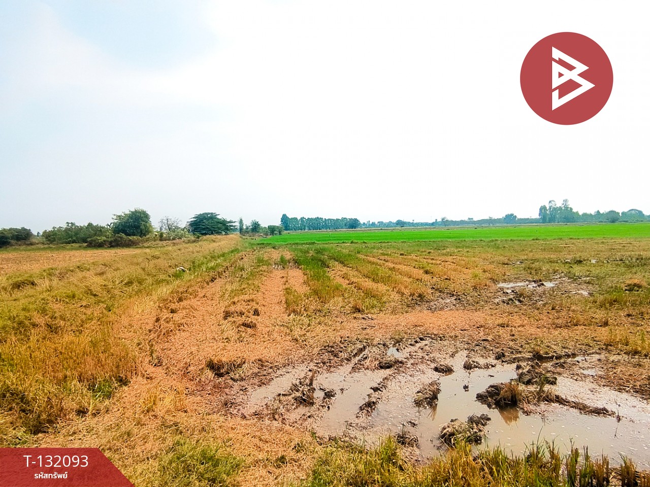 ขายที่ดินสวย เนื้อที่ 14 ไร่ 84 ตารางวา สามโก้ อ่างทอง 6