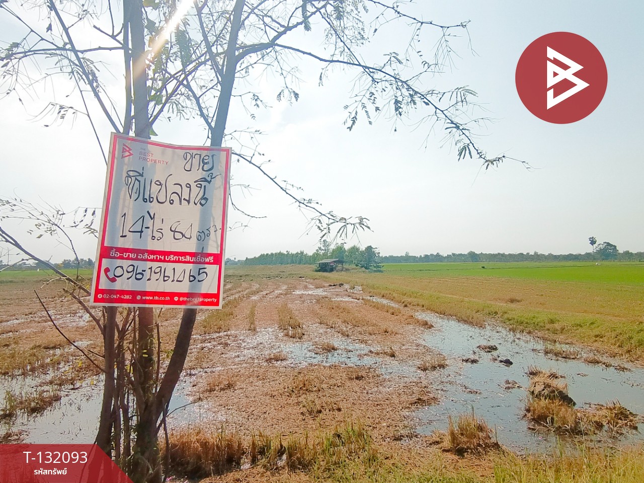 ขายที่ดินสวย เนื้อที่ 14 ไร่ 84 ตารางวา สามโก้ อ่างทอง 2