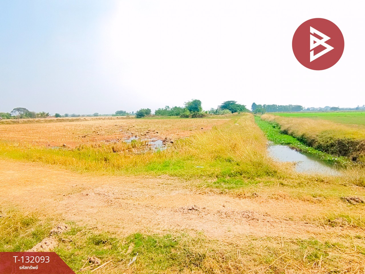 ขายที่ดินสวย เนื้อที่ 14 ไร่ 84 ตารางวา สามโก้ อ่างทอง 7