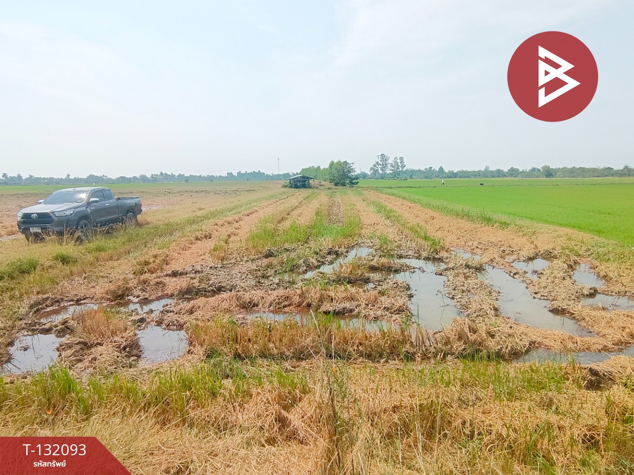 ขายที่ดินสวย เนื้อที่ 14 ไร่ 84 ตารางวา สามโก้ อ่างทอง 9