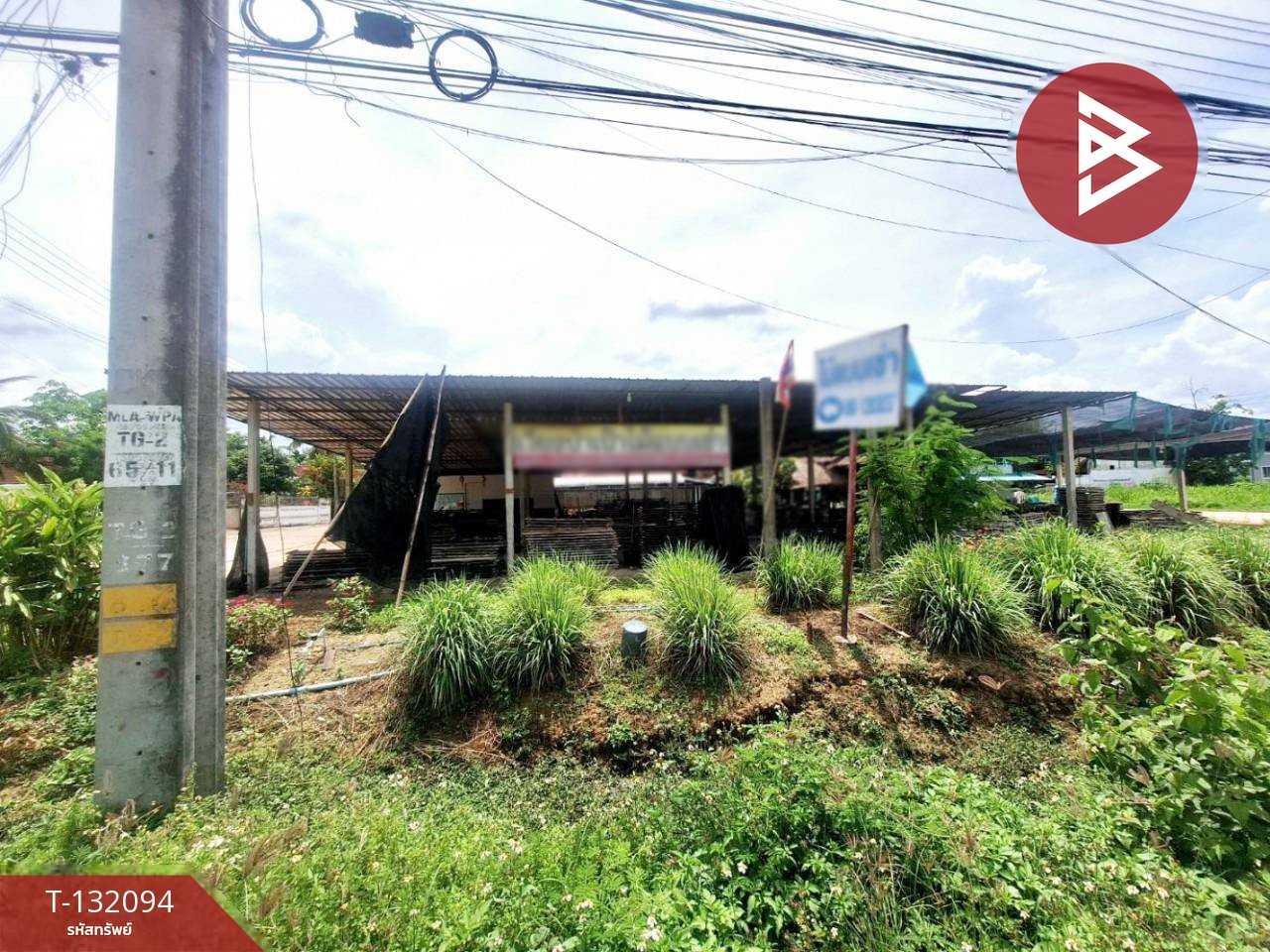 ขายที่ดินพร้อมต้นลำไย เนื้อที่ 50 ตารางวา อ.เวียงป่าเป้า จ.เชียงราย 4