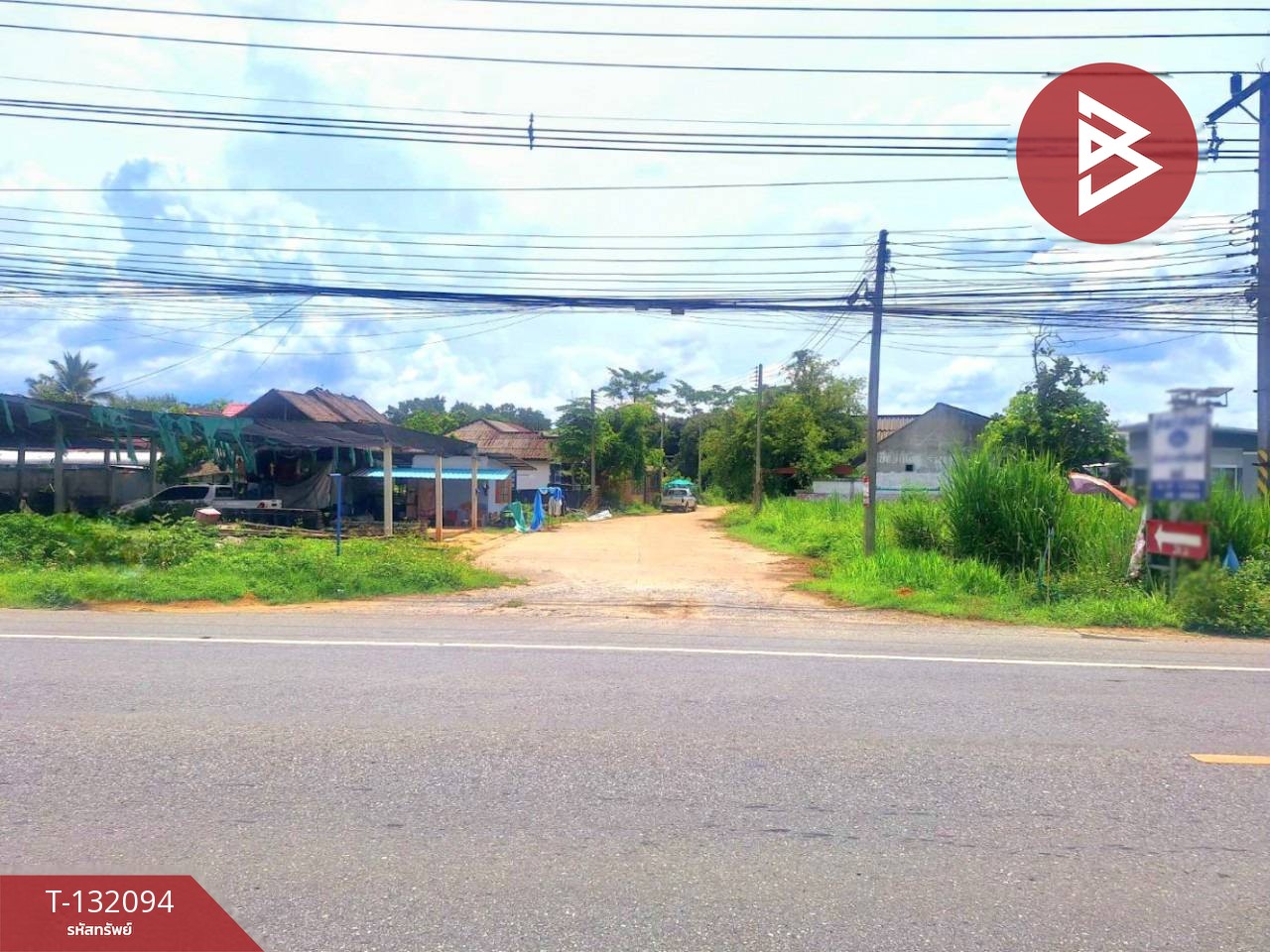 ขายที่ดินพร้อมต้นลำไย เนื้อที่ 50 ตารางวา อ.เวียงป่าเป้า จ.เชียงราย 8