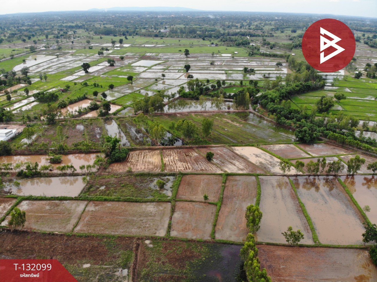 ขายที่ดินแปลงใหญ่ เนื้อที่ 6 ไร่ 2 งาน 80.8 ตารางวา บ้านฝาง ขอนแก่น ทำเลสงบ 9