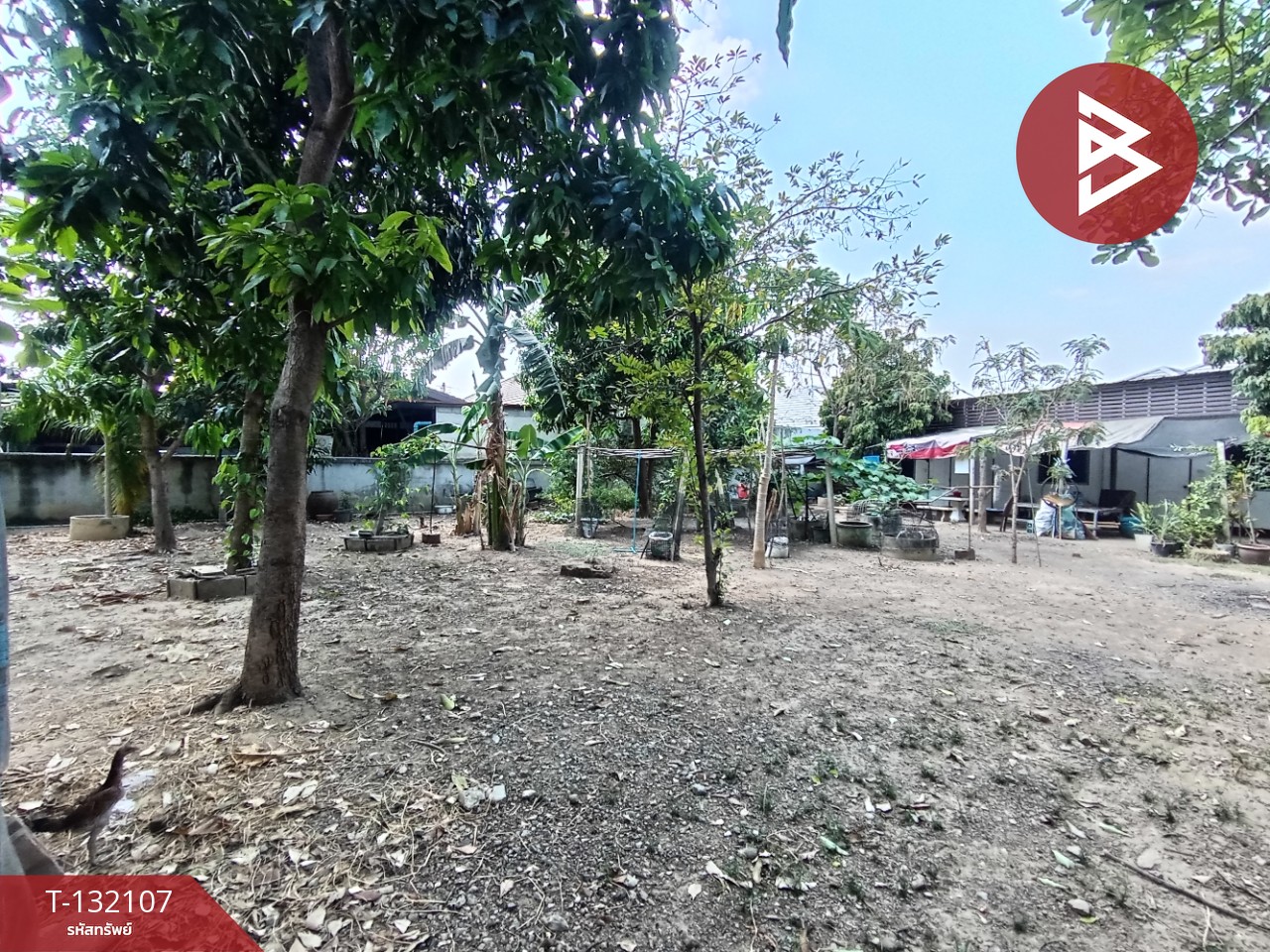 ขายที่ดินพร้อมบ้าน เนื้อที่ 1 งาน 51.5 ตารางวา ตลาดท่าเรือ ท่ามะกา กาญจนบุรี 5