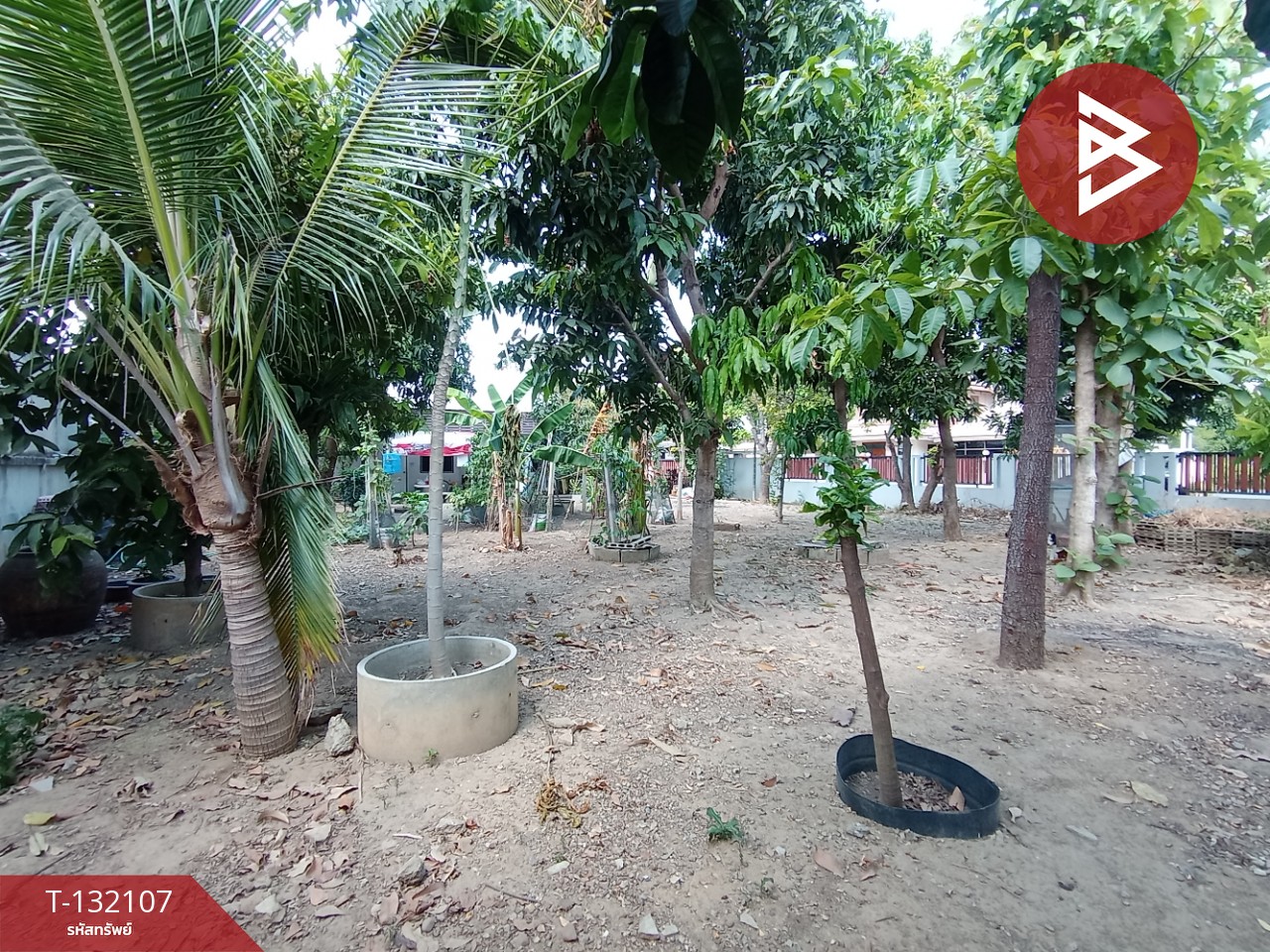 ขายที่ดินพร้อมบ้าน เนื้อที่ 1 งาน 51.5 ตารางวา ตลาดท่าเรือ ท่ามะกา กาญจนบุรี 6