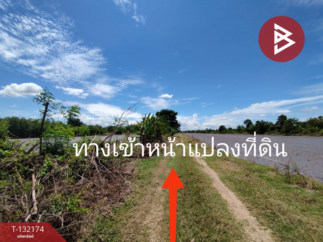 ขายที่ดิน เนื้อที่ 1 ไร่ หนองเสือ ปทุมธานี 4