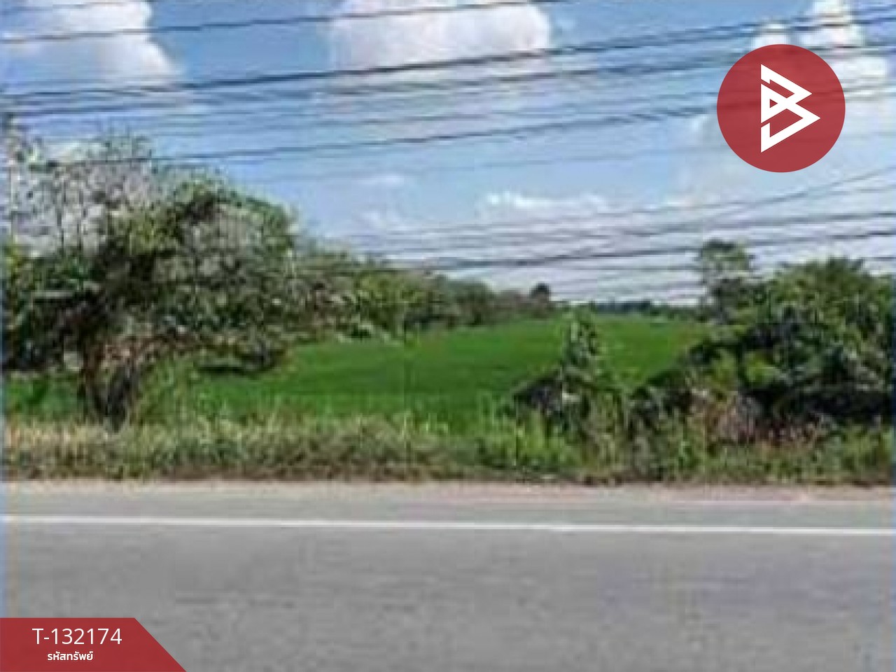 ขายที่ดิน เนื้อที่ 1 ไร่ หนองเสือ ปทุมธานี 7