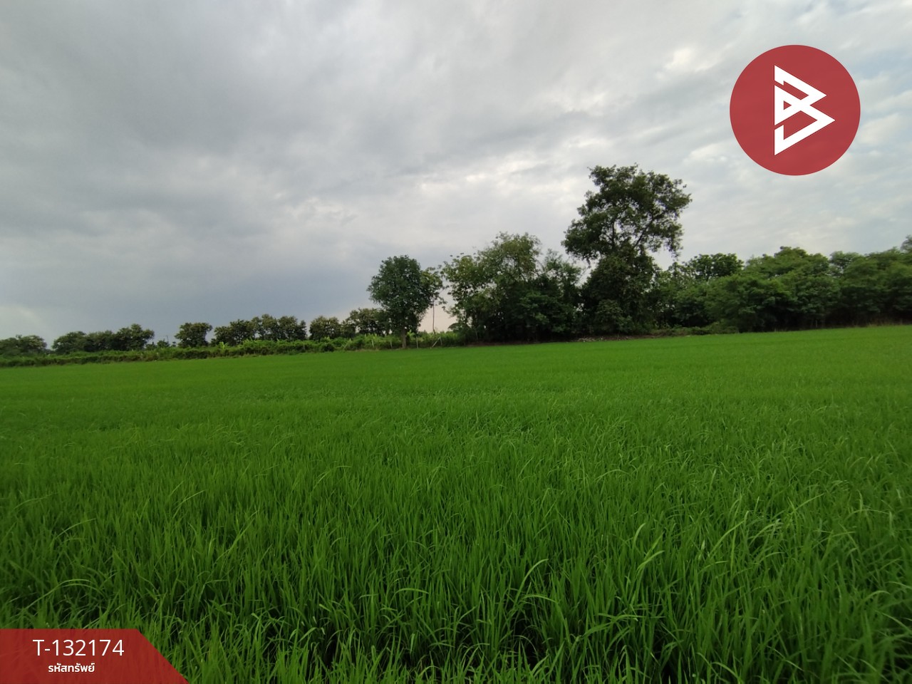 ขายที่ดิน เนื้อที่ 1 ไร่ หนองเสือ ปทุมธานี 2