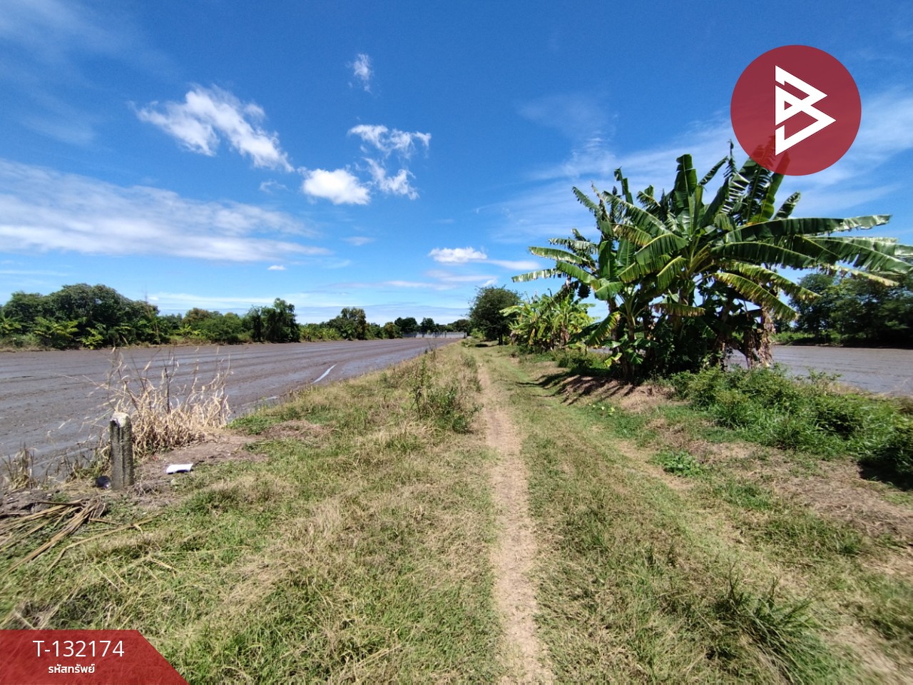 ขายที่ดิน เนื้อที่ 1 ไร่ หนองเสือ ปทุมธานี 5