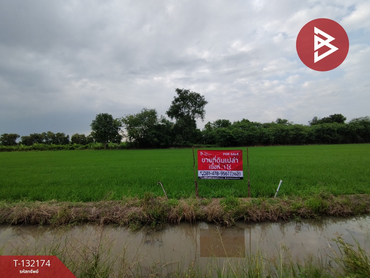 ขายที่ดิน เนื้อที่ 1 ไร่ หนองเสือ ปทุมธานี 1