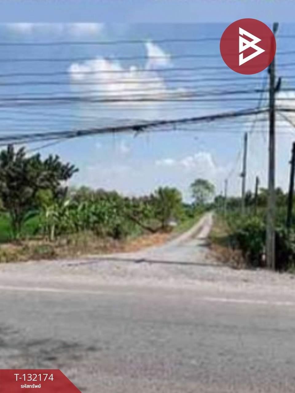 ขายที่ดิน เนื้อที่ 1 ไร่ หนองเสือ ปทุมธานี 6