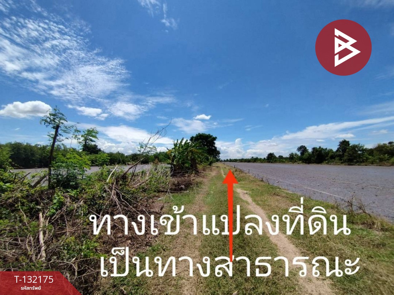 ขายที่ดิน เนื้อที่ 1 ไร่ หนองเสือ ปทุมธานี 5