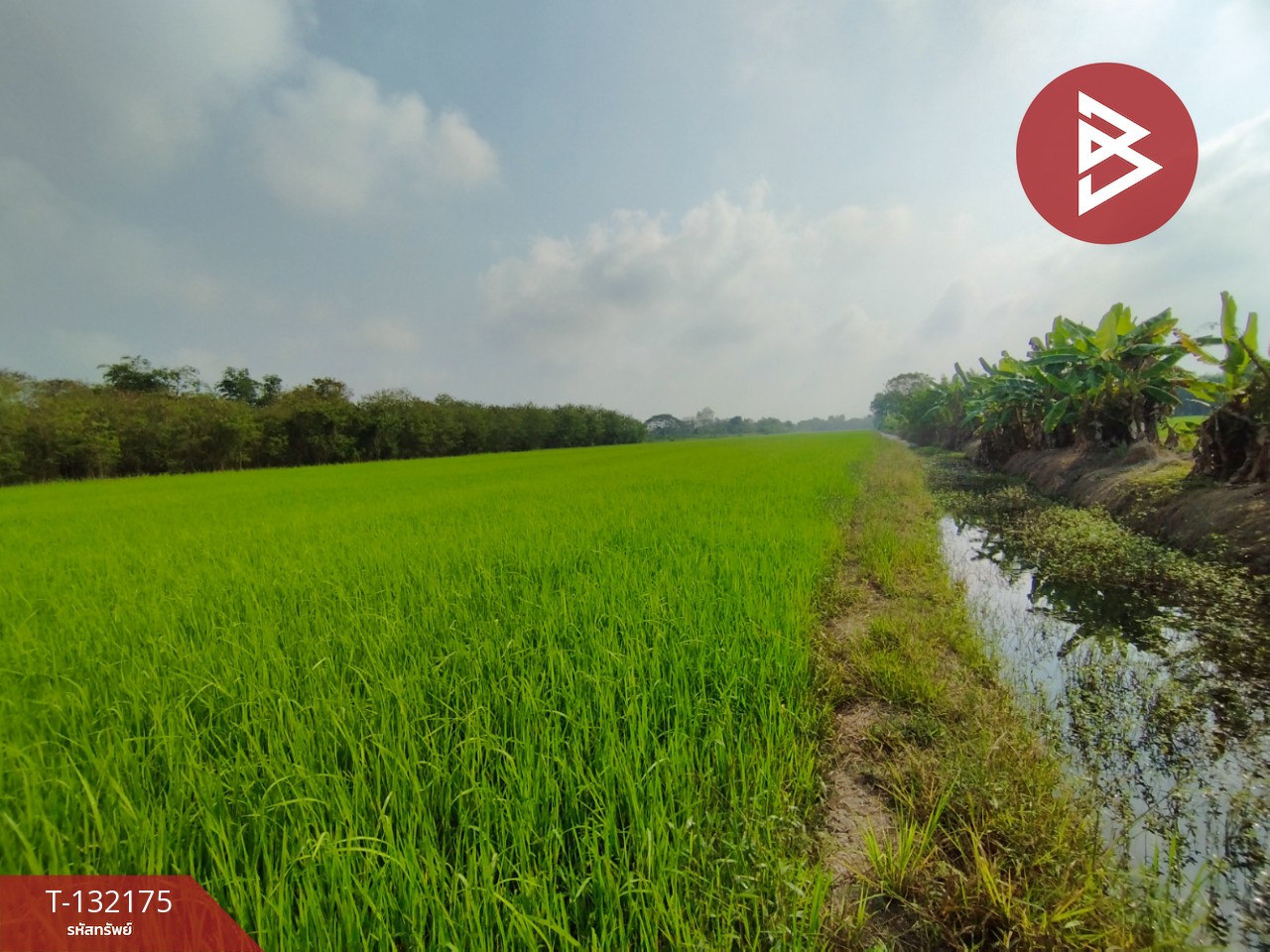 ขายที่ดิน เนื้อที่ 1 ไร่ หนองเสือ ปทุมธานี 3
