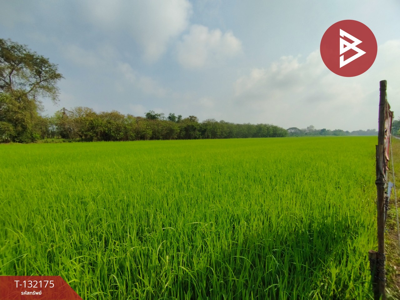 ขายที่ดิน เนื้อที่ 1 ไร่ หนองเสือ ปทุมธานี 4
