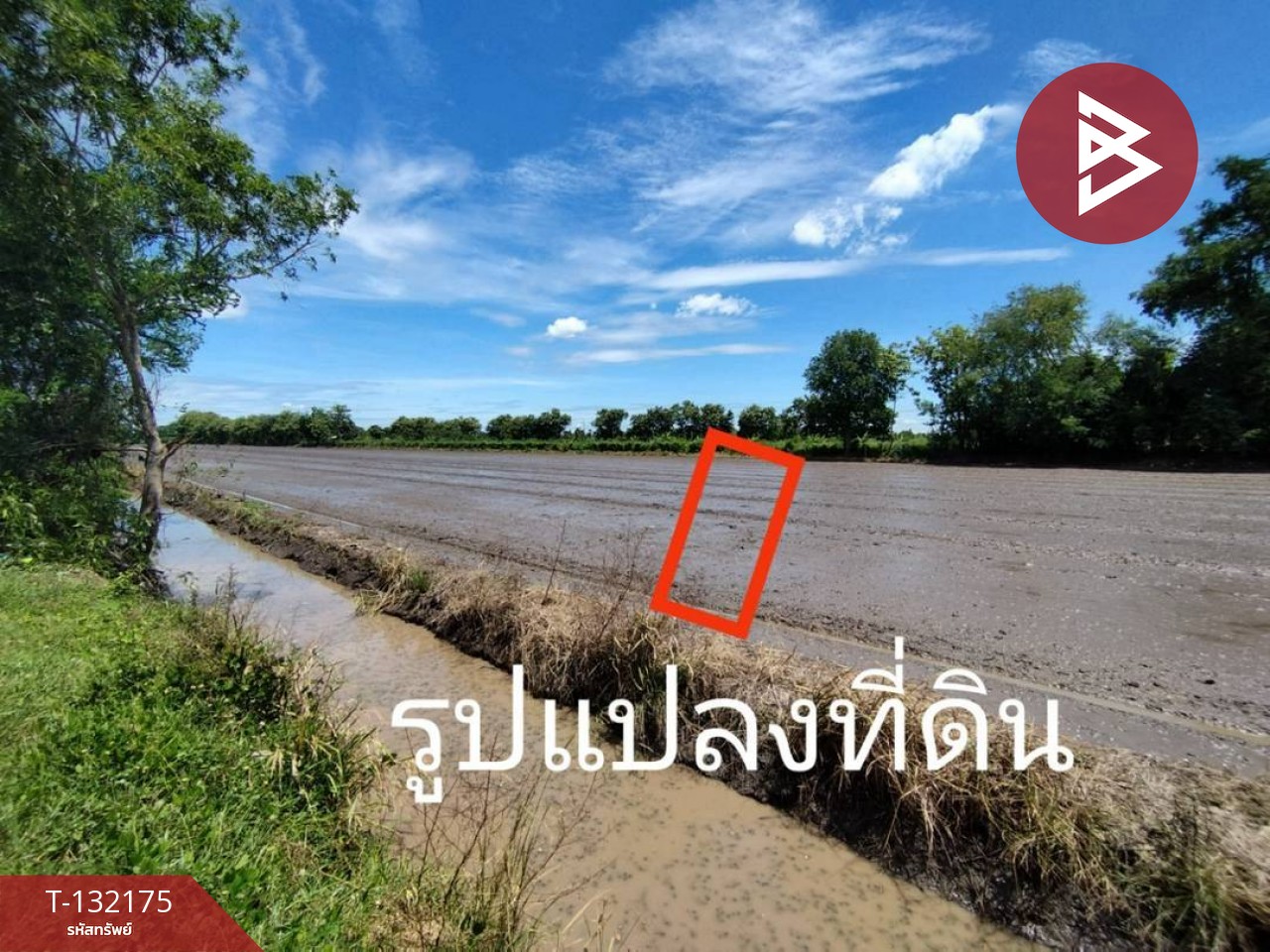 ขายที่ดิน เนื้อที่ 1 ไร่ หนองเสือ ปทุมธานี 1