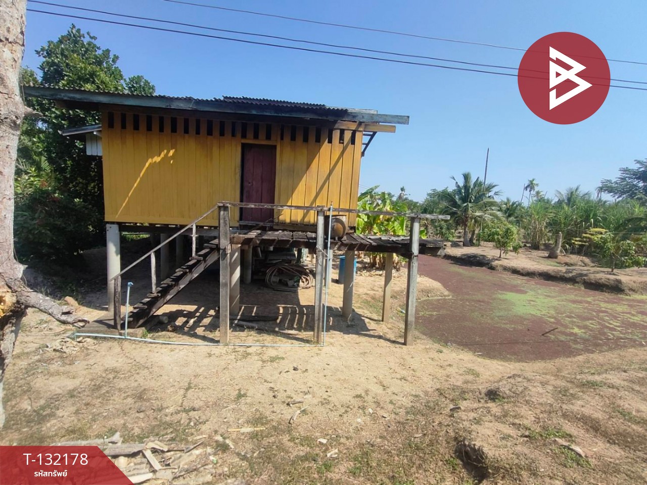 ขายที่ดิน เนื้อที่ 8 ไร่ 2 งาน 40 ตร.วา บางคล้า ฉะเชิงเทรา 4