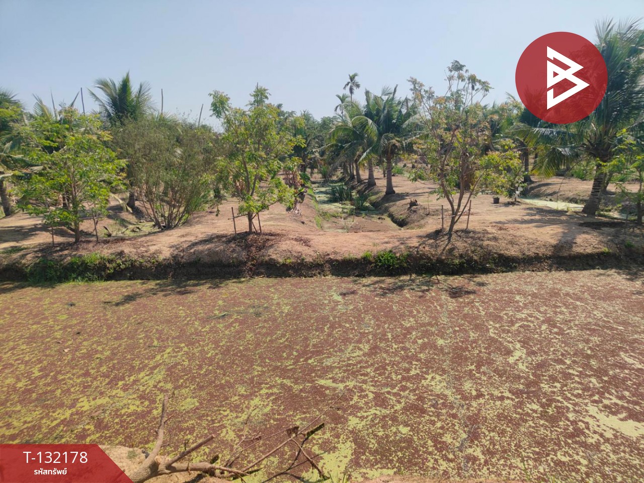 ขายที่ดิน เนื้อที่ 8 ไร่ 2 งาน 40 ตร.วา บางคล้า ฉะเชิงเทรา 2