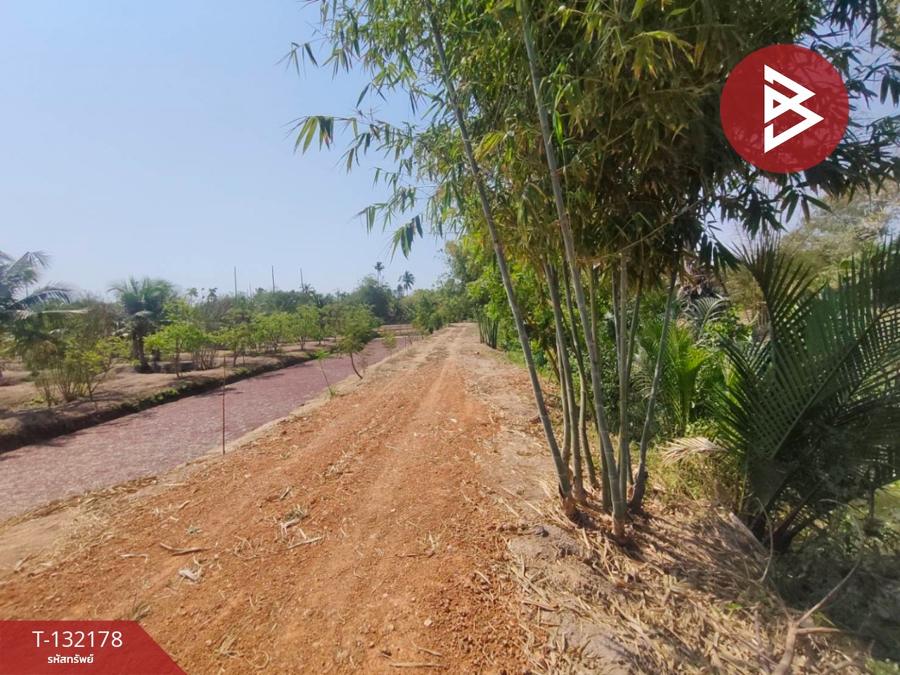 ขายที่ดิน เนื้อที่ 8 ไร่ 2 งาน 40 ตร.วา บางคล้า ฉะเชิงเทรา 7