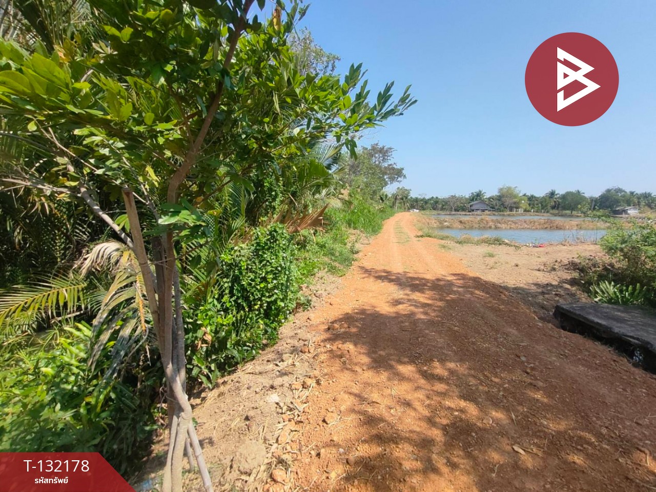 ขายที่ดิน เนื้อที่ 8 ไร่ 2 งาน 40 ตร.วา บางคล้า ฉะเชิงเทรา 10