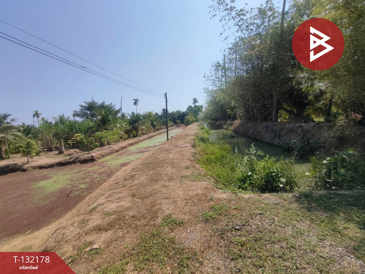 ขายที่ดิน เนื้อที่ 8 ไร่ 2 งาน 40 ตร.วา บางคล้า ฉะเชิงเทรา 6