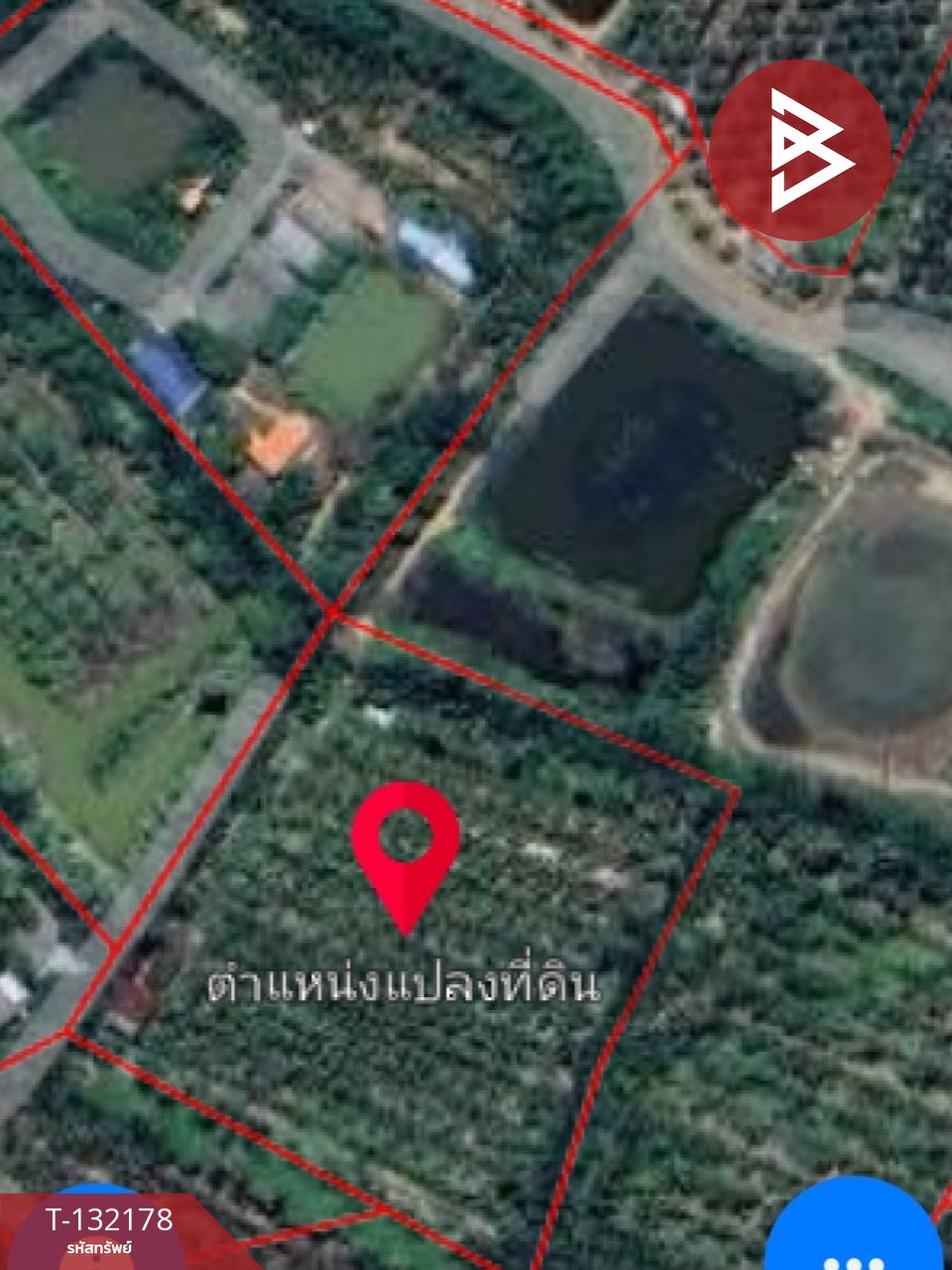 ขายที่ดิน เนื้อที่ 8 ไร่ 2 งาน 40 ตร.วา บางคล้า ฉะเชิงเทรา 12