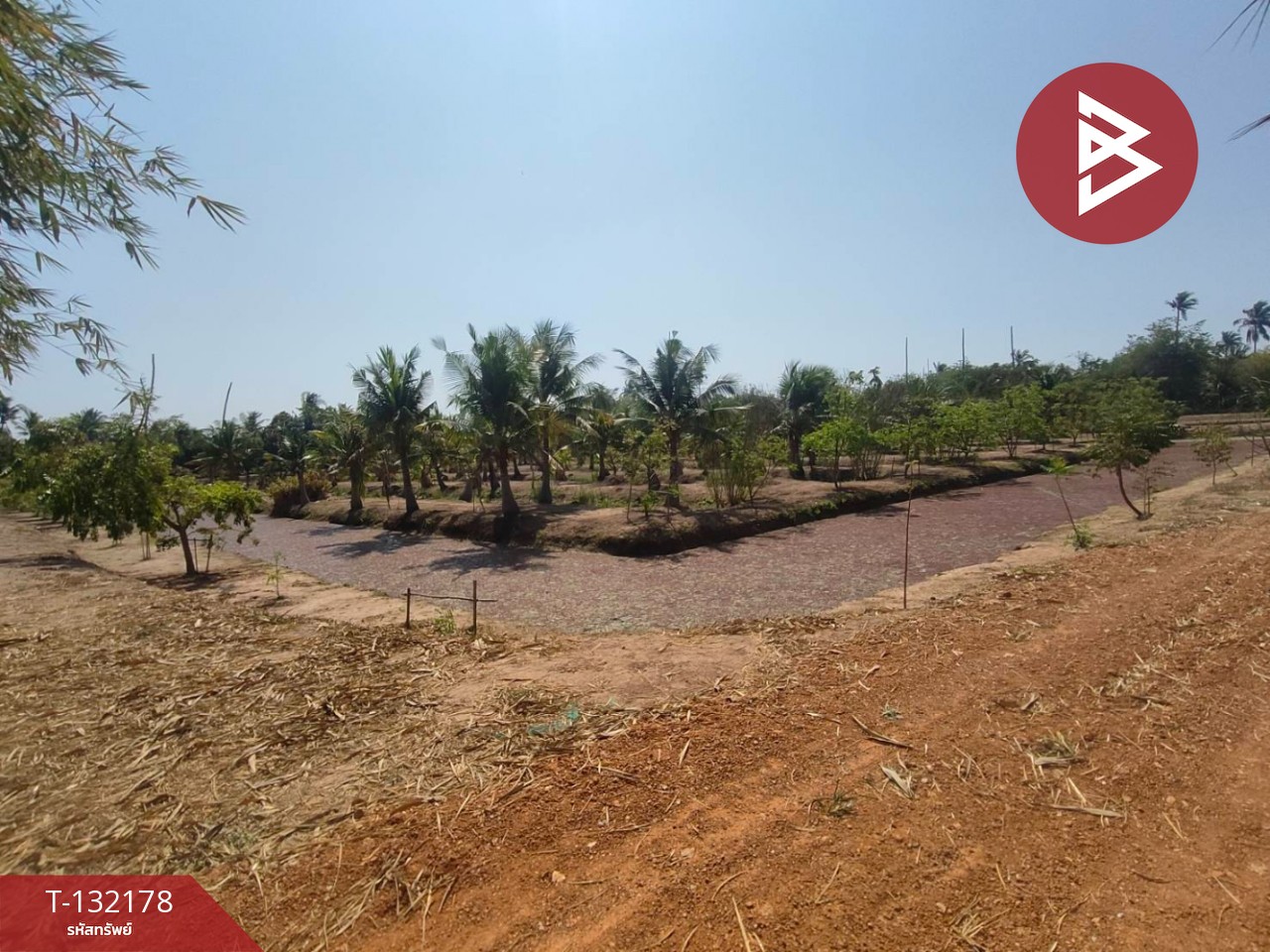 ขายที่ดิน เนื้อที่ 8 ไร่ 2 งาน 40 ตร.วา บางคล้า ฉะเชิงเทรา 1