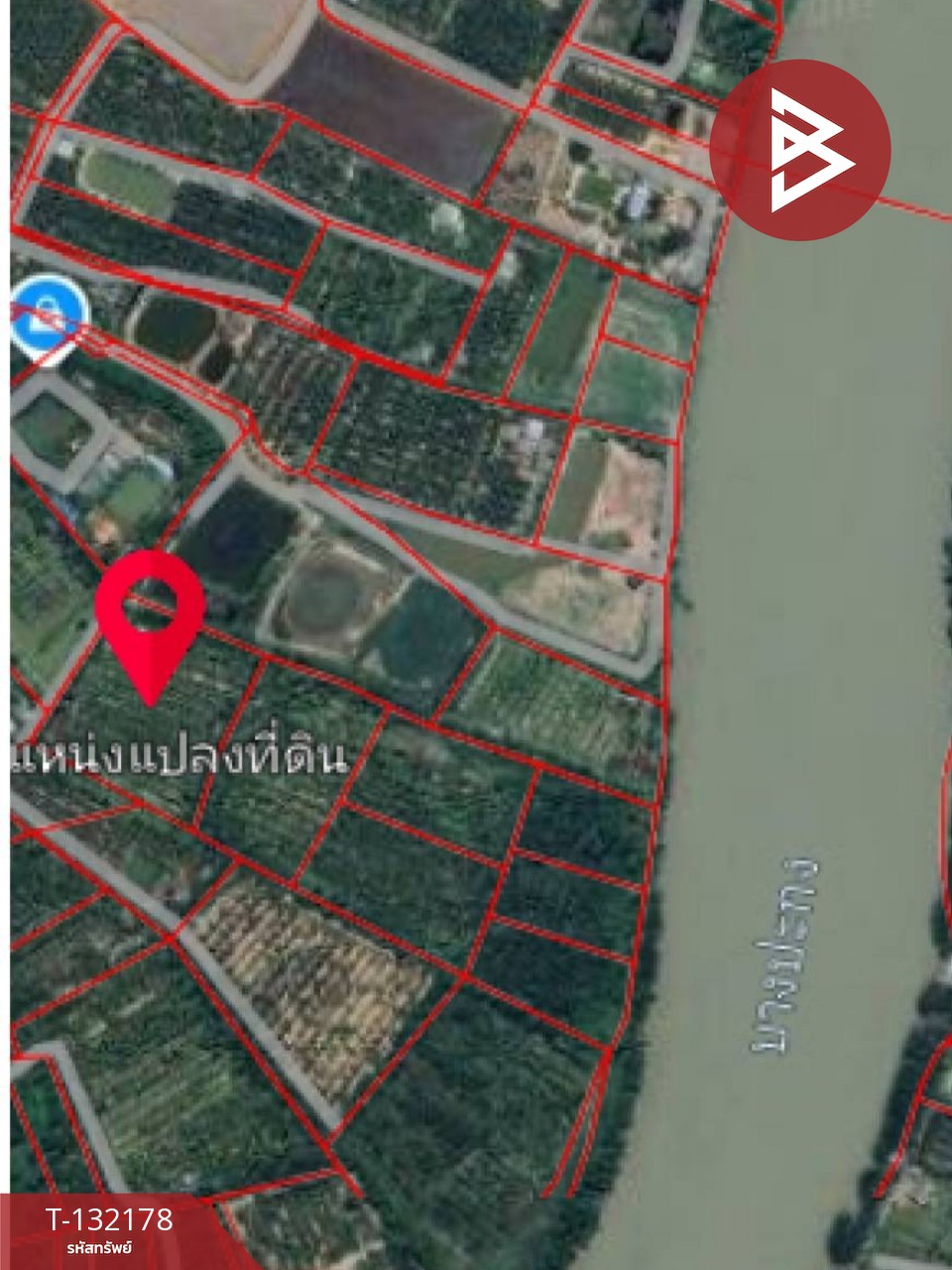 ขายที่ดิน เนื้อที่ 8 ไร่ 2 งาน 40 ตร.วา บางคล้า ฉะเชิงเทรา 11