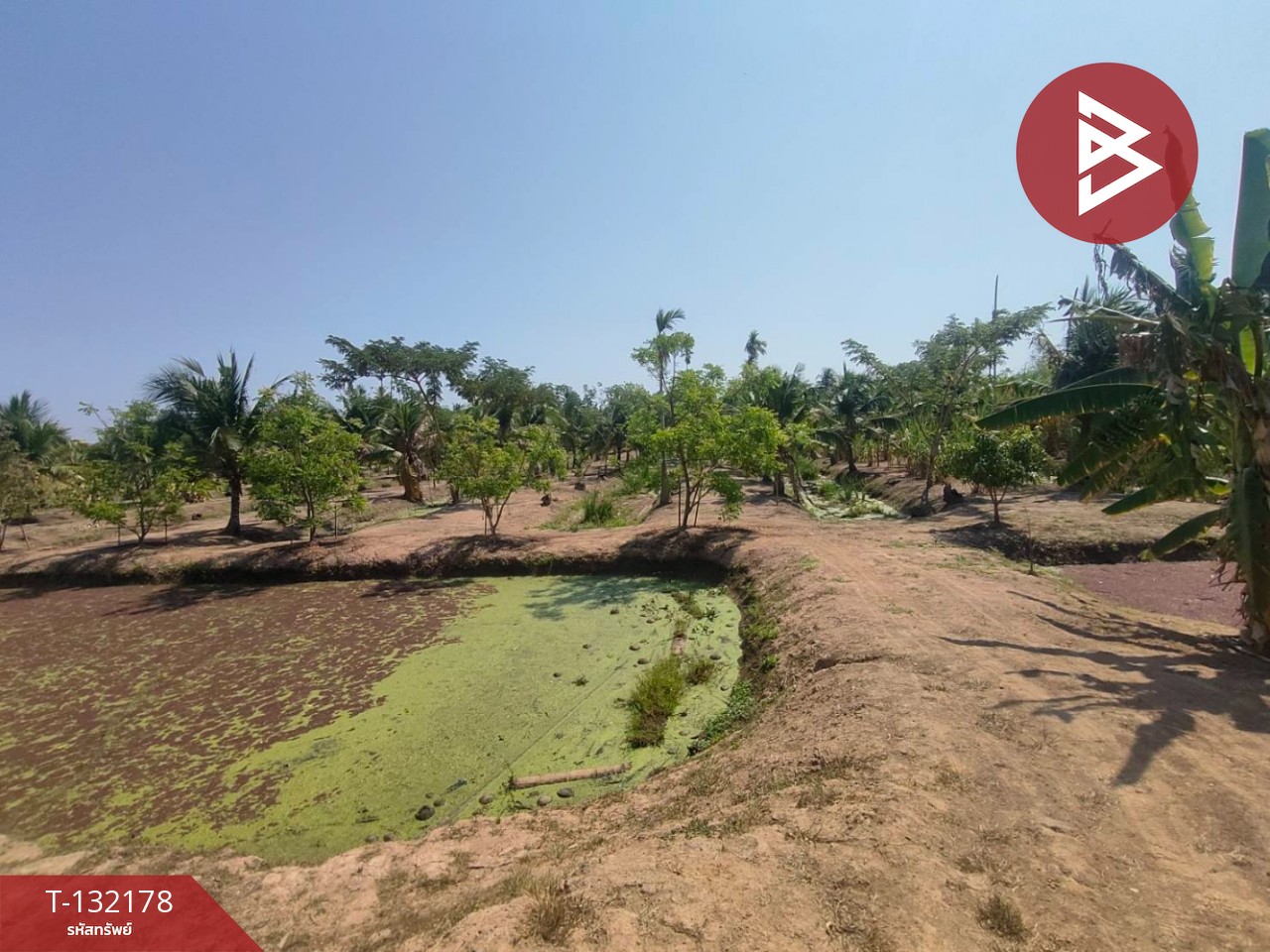 ขายที่ดิน เนื้อที่ 8 ไร่ 2 งาน 40 ตร.วา บางคล้า ฉะเชิงเทรา 3