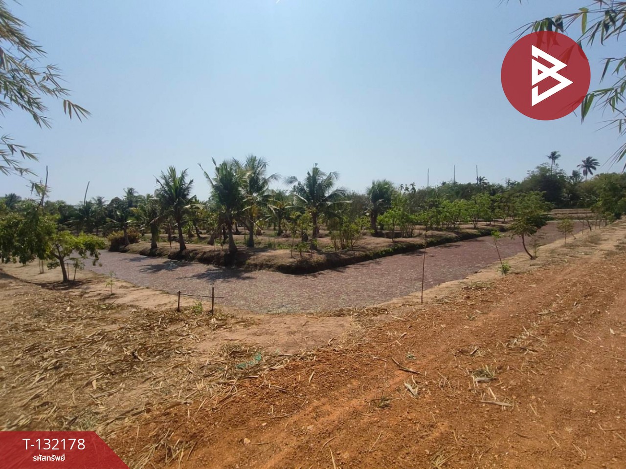 ขายที่ดิน เนื้อที่ 8 ไร่ 2 งาน 40 ตร.วา บางคล้า ฉะเชิงเทรา 8