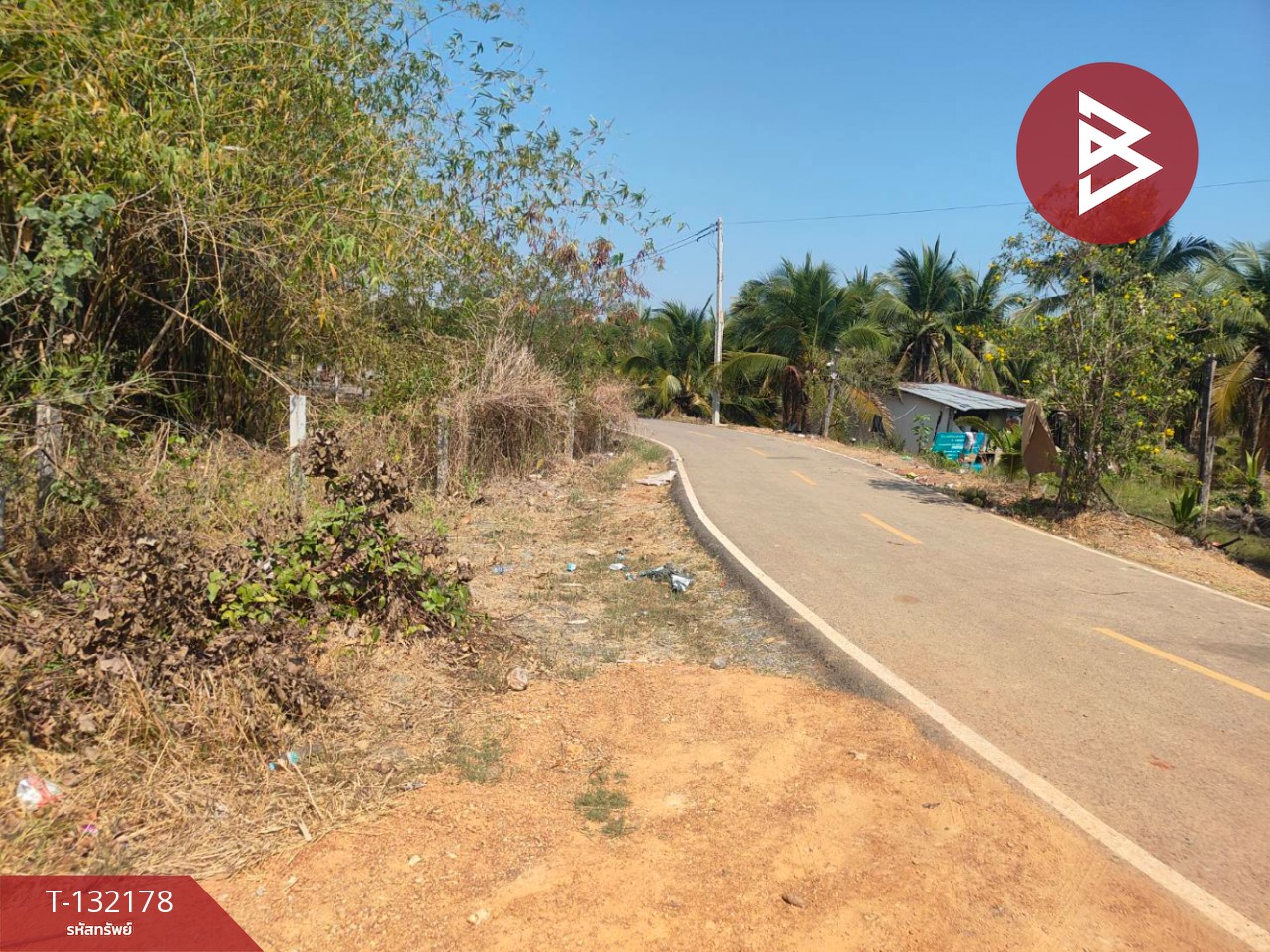 ขายที่ดิน เนื้อที่ 8 ไร่ 2 งาน 40 ตร.วา บางคล้า ฉะเชิงเทรา 9