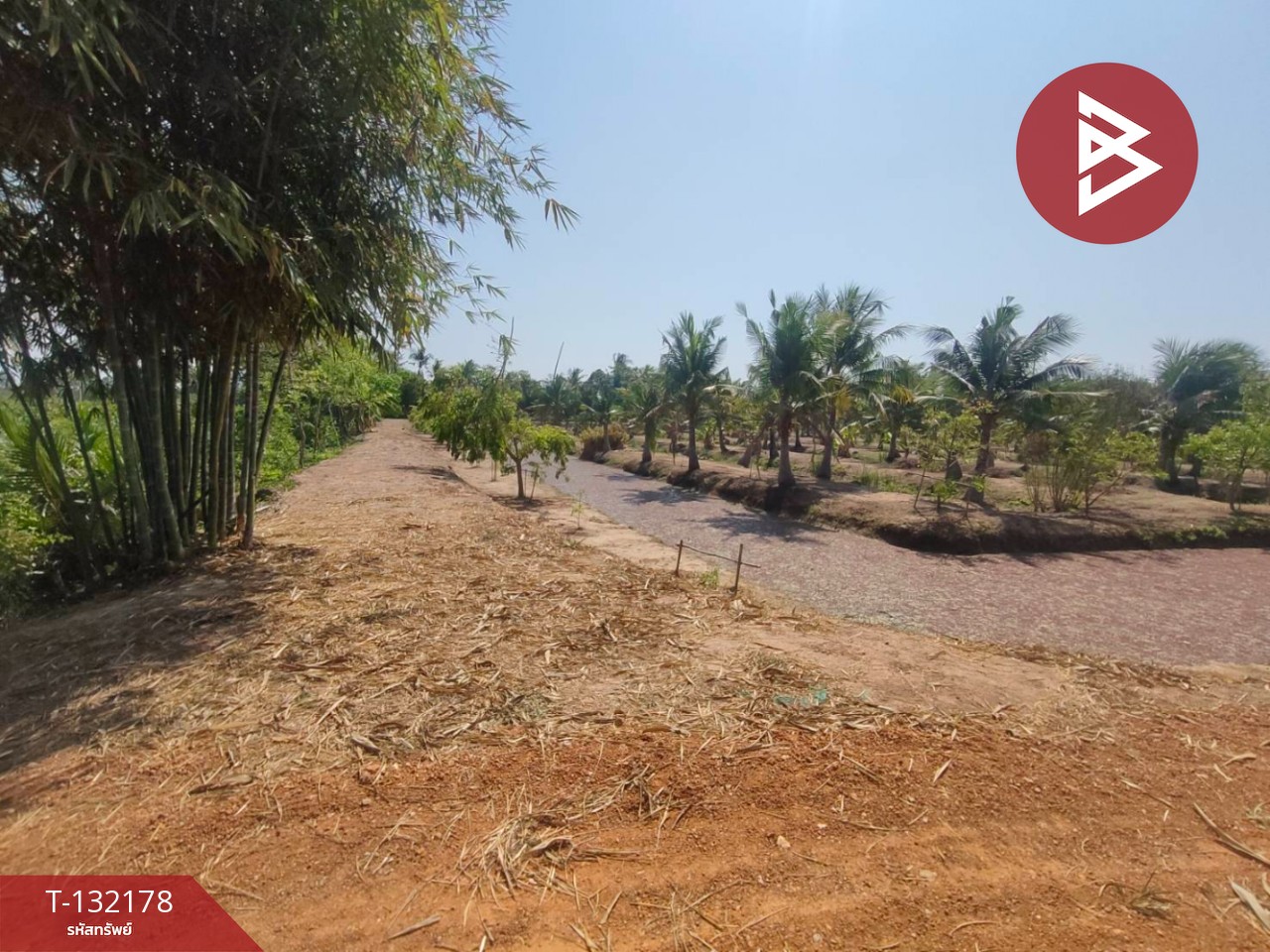 ขายที่ดิน เนื้อที่ 8 ไร่ 2 งาน 40 ตร.วา บางคล้า ฉะเชิงเทรา 5