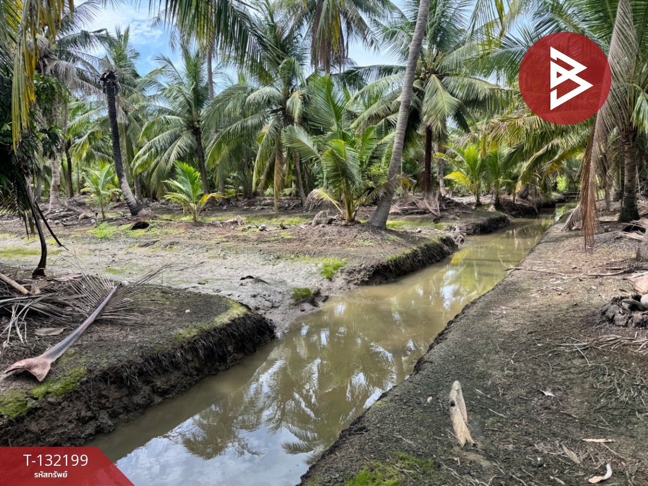 ขายที่ดิน เนื้อที่ 2 ไร่  32 ตร.วา ลาดใหญ่ สมุทรสงคราม 12