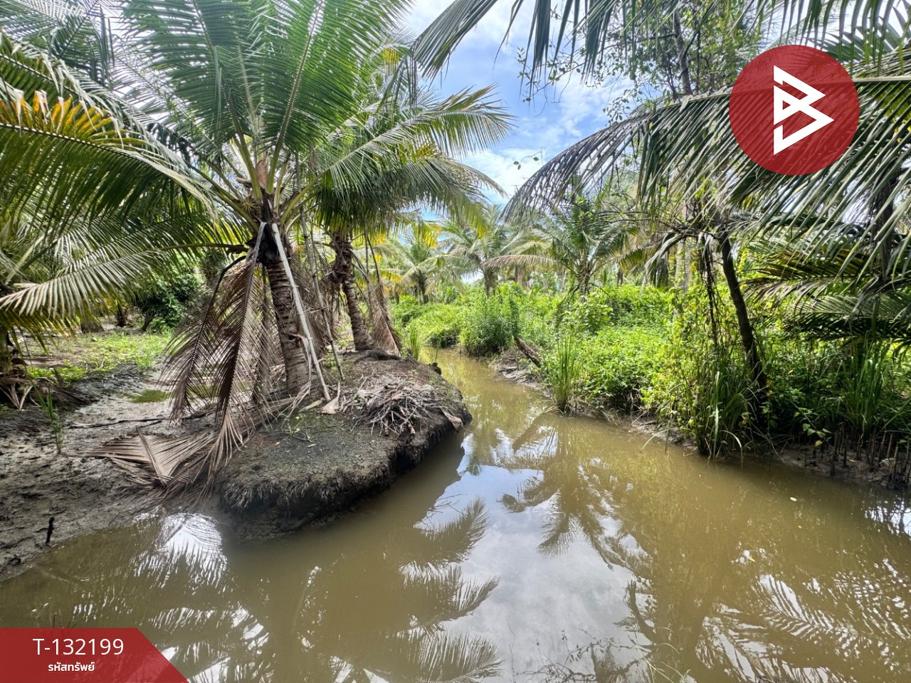 ขายที่ดิน เนื้อที่ 2 ไร่  32 ตร.วา ลาดใหญ่ สมุทรสงคราม 3