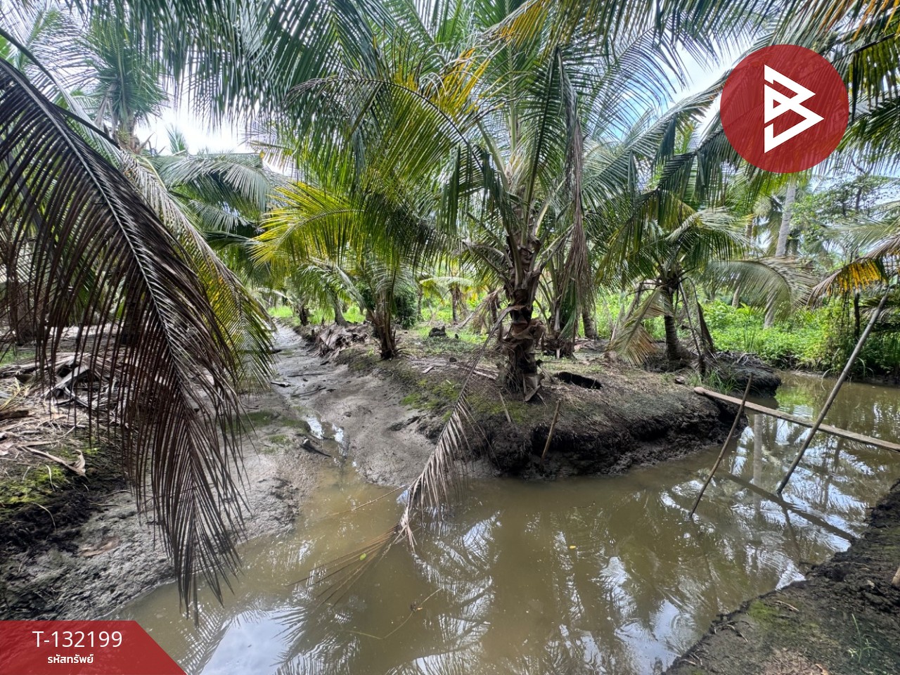 ขายที่ดิน เนื้อที่ 2 ไร่  32 ตร.วา ลาดใหญ่ สมุทรสงคราม 1