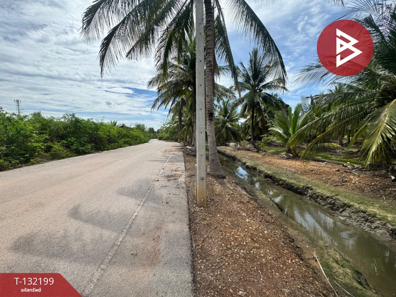 ขายที่ดิน เนื้อที่ 2 ไร่  32 ตร.วา ลาดใหญ่ สมุทรสงคราม 13