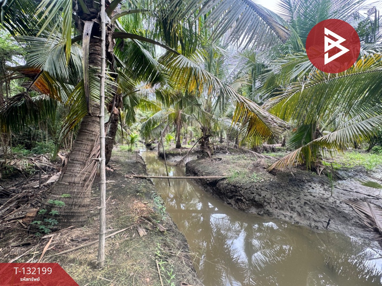 ขายที่ดิน เนื้อที่ 2 ไร่  32 ตร.วา ลาดใหญ่ สมุทรสงคราม 10