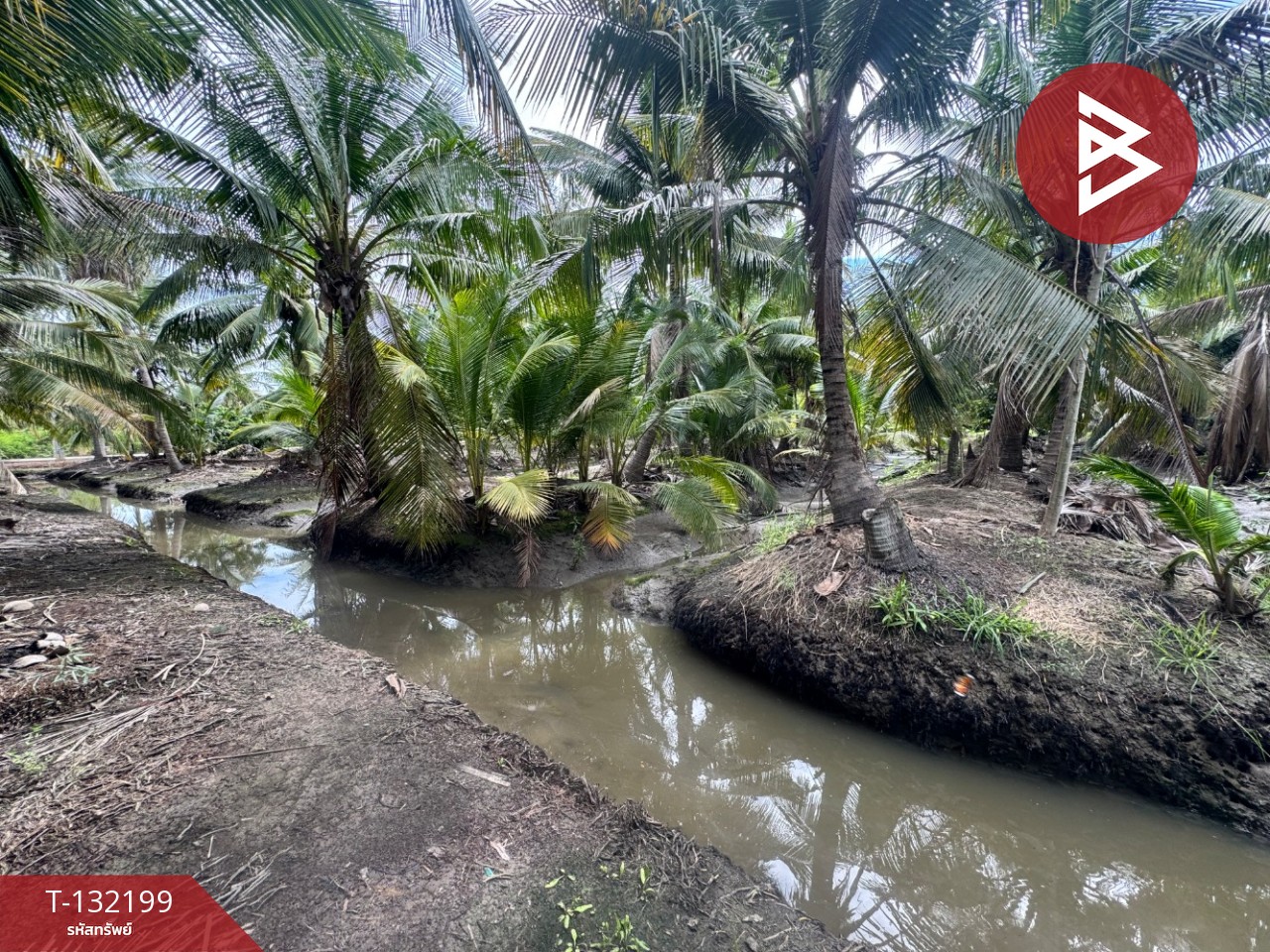 ขายที่ดิน เนื้อที่ 2 ไร่  32 ตร.วา ลาดใหญ่ สมุทรสงคราม 5