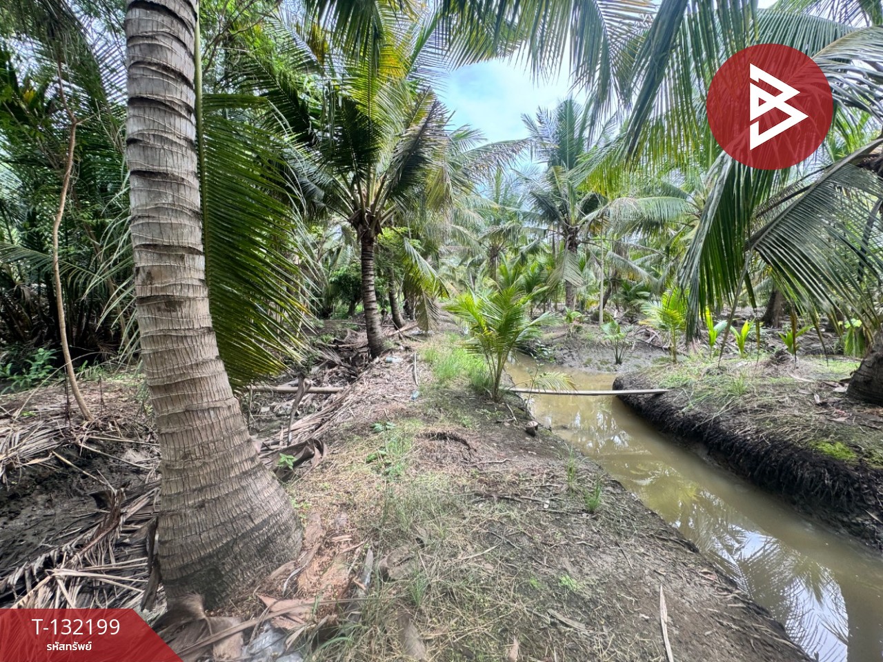 ขายที่ดิน เนื้อที่ 2 ไร่  32 ตร.วา ลาดใหญ่ สมุทรสงคราม 9