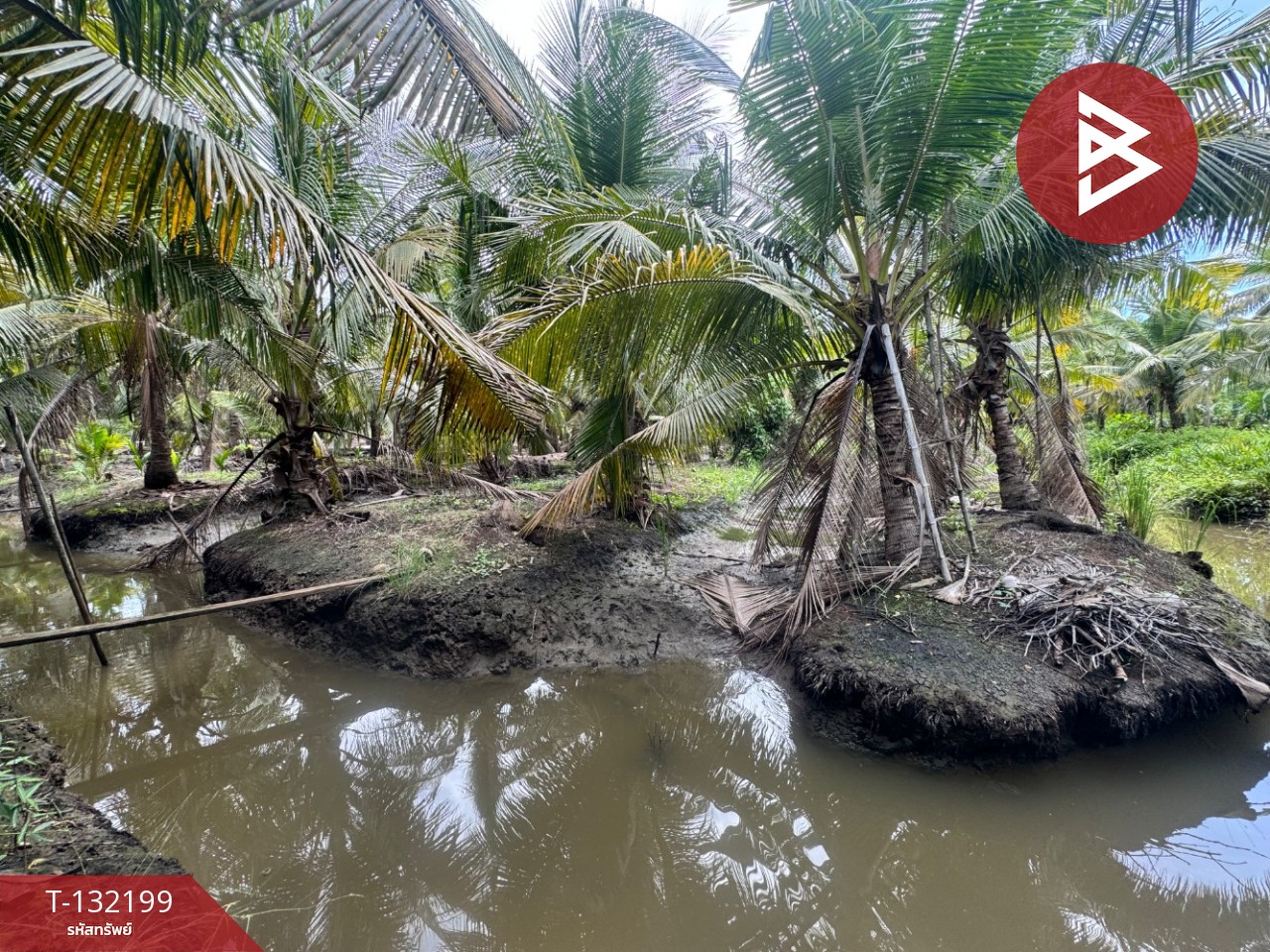 ขายที่ดิน เนื้อที่ 2 ไร่  32 ตร.วา ลาดใหญ่ สมุทรสงคราม 7