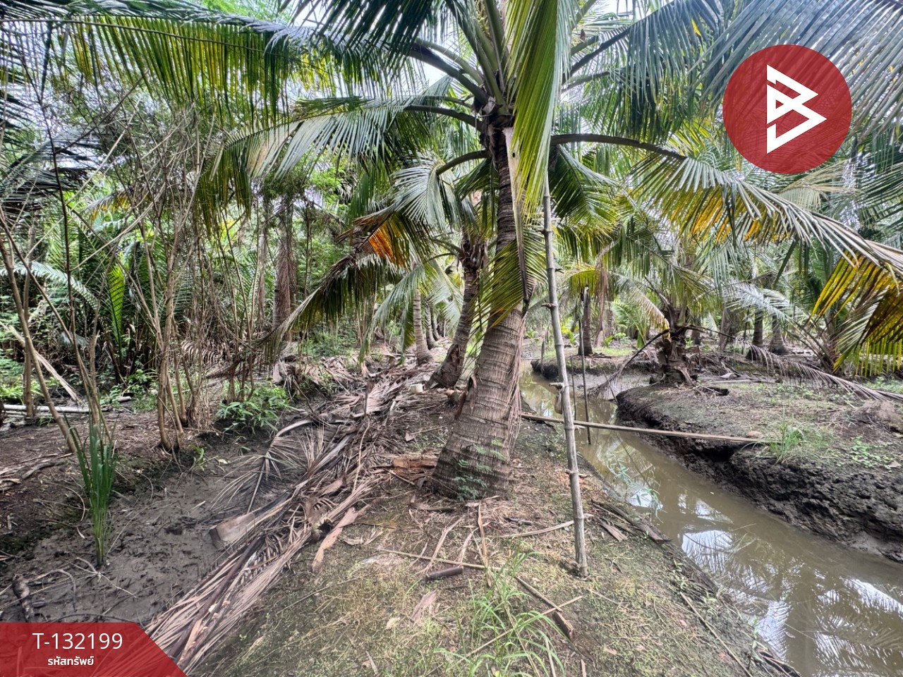 ขายที่ดิน เนื้อที่ 2 ไร่  32 ตร.วา ลาดใหญ่ สมุทรสงคราม 11